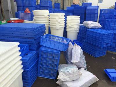 廣東塑料網(wǎng)眼周轉(zhuǎn)籮價(jià)格、供應(yīng)商及行情分析——以佛山市喬豐塑膠實(shí)業(yè)為例